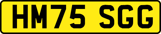HM75SGG