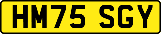 HM75SGY