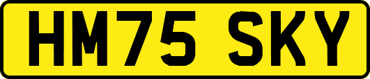 HM75SKY