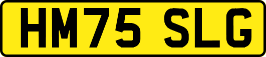 HM75SLG
