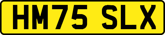 HM75SLX