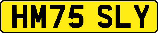 HM75SLY