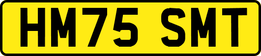 HM75SMT