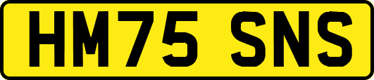 HM75SNS