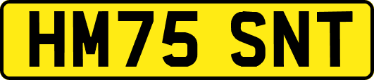 HM75SNT