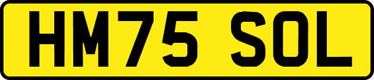 HM75SOL