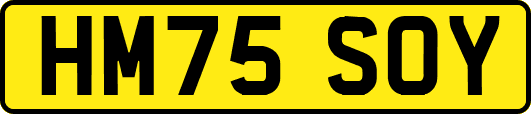 HM75SOY