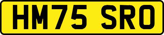 HM75SRO