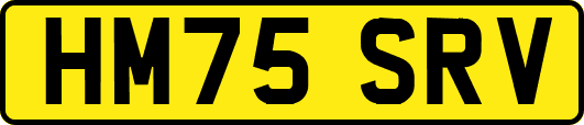 HM75SRV