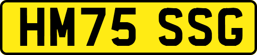 HM75SSG