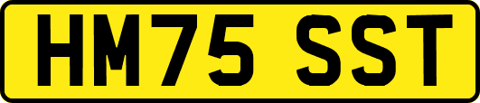 HM75SST