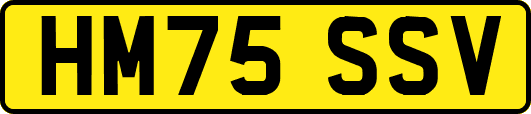 HM75SSV