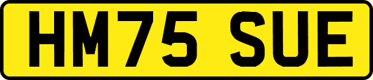 HM75SUE