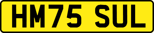 HM75SUL