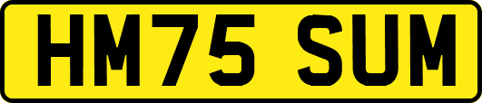 HM75SUM