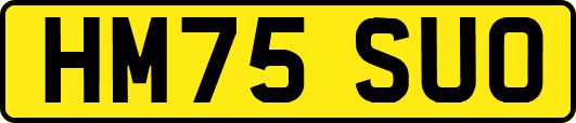HM75SUO