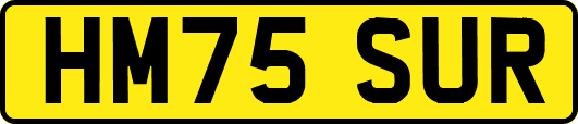 HM75SUR