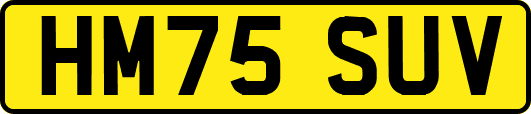 HM75SUV
