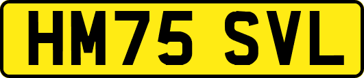 HM75SVL