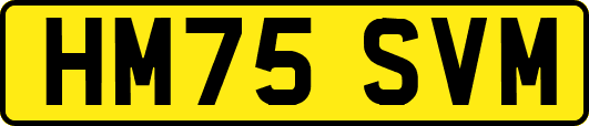 HM75SVM