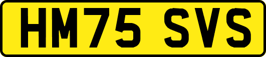 HM75SVS
