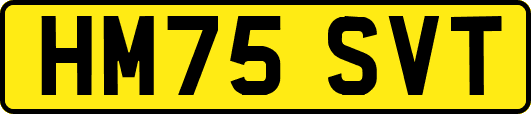 HM75SVT