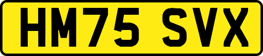 HM75SVX