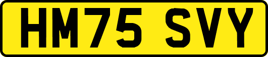 HM75SVY