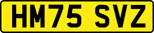 HM75SVZ