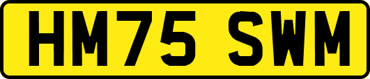 HM75SWM
