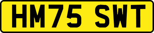 HM75SWT
