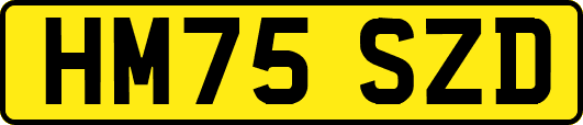 HM75SZD