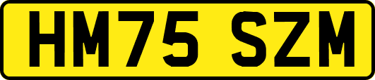 HM75SZM