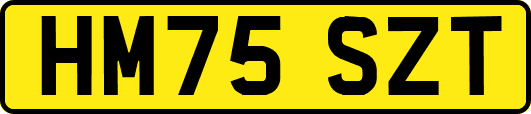 HM75SZT