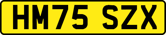 HM75SZX