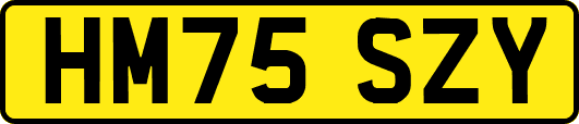 HM75SZY