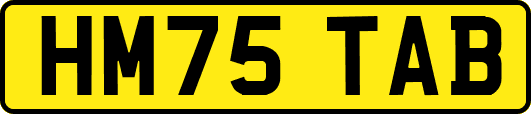HM75TAB