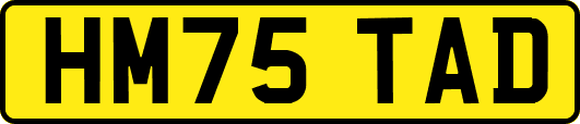 HM75TAD