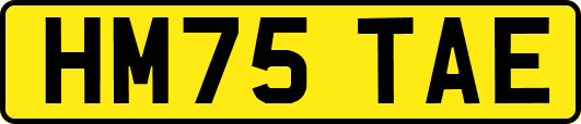 HM75TAE