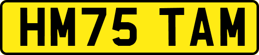 HM75TAM
