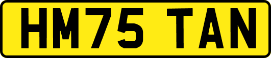 HM75TAN
