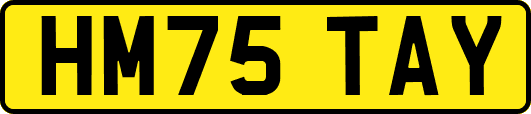 HM75TAY