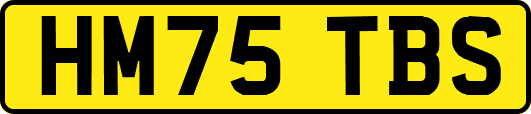 HM75TBS