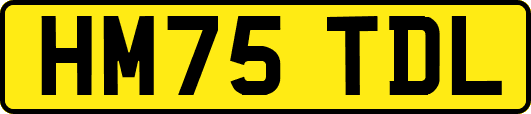 HM75TDL