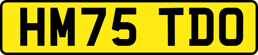 HM75TDO