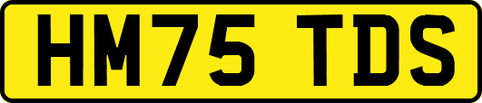 HM75TDS