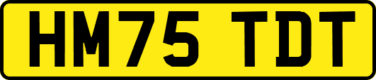 HM75TDT