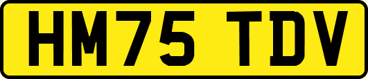 HM75TDV
