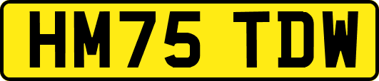 HM75TDW