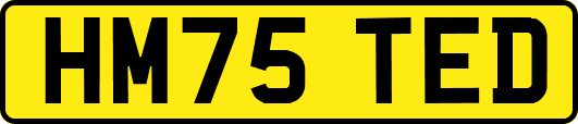 HM75TED